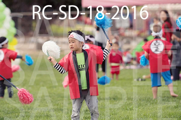RC-SD-18-2016.jpg