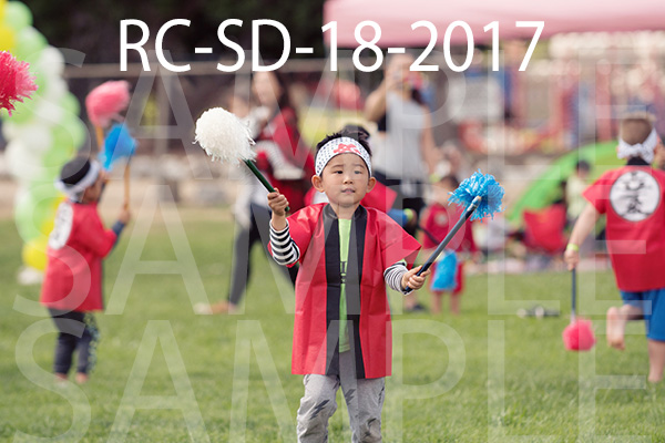 RC-SD-18-2017.jpg