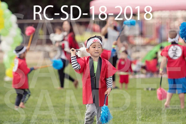 RC-SD-18-2018.jpg