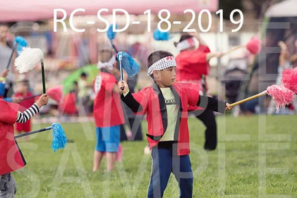 RC-SD-18-2019.jpg