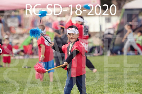 RC-SD-18-2020.jpg