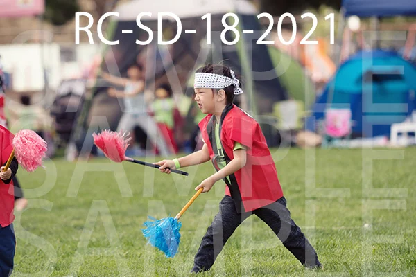 RC-SD-18-2021.jpg
