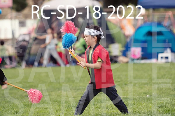 RC-SD-18-2022.jpg