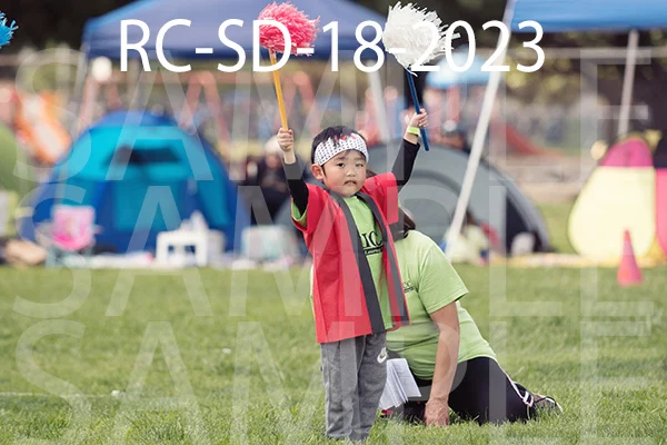 RC-SD-18-2023.jpg