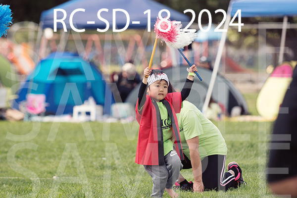 RC-SD-18-2024.jpg