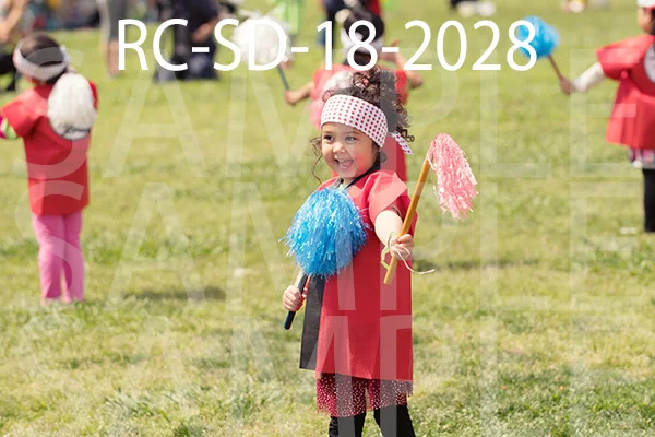RC-SD-18-2028.jpg