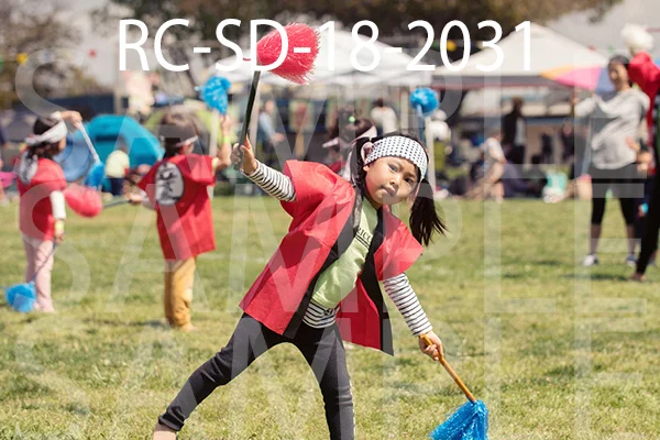 RC-SD-18-2031.jpg