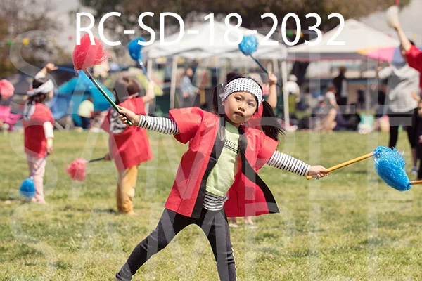 RC-SD-18-2032.jpg