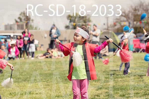 RC-SD-18-2033.jpg