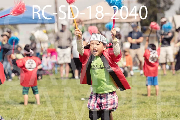 RC-SD-18-2040.jpg