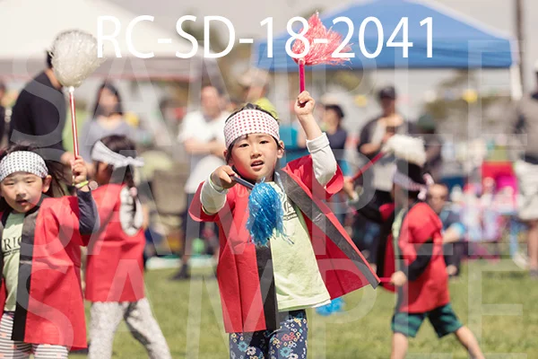 RC-SD-18-2041.jpg