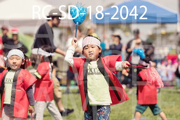 RC-SD-18-2042.jpg