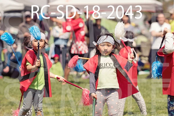 RC-SD-18-2043.jpg