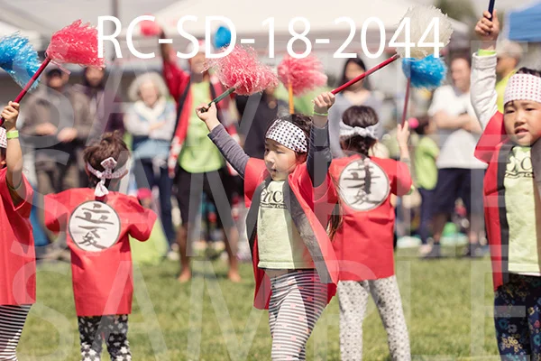 RC-SD-18-2044.jpg