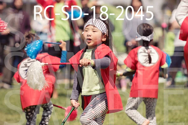 RC-SD-18-2045.jpg