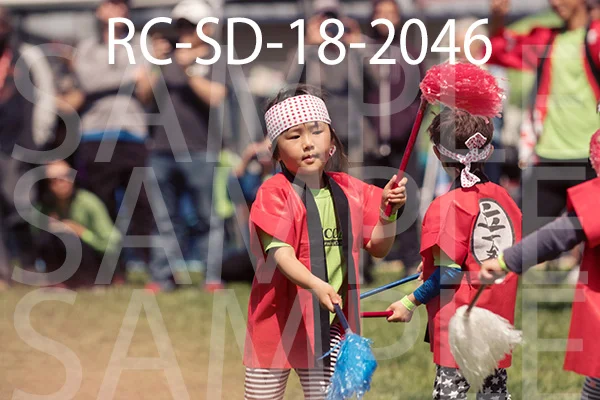 RC-SD-18-2046.jpg