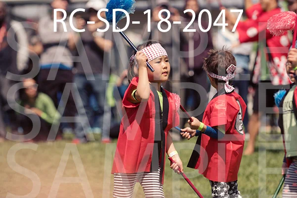 RC-SD-18-2047.jpg