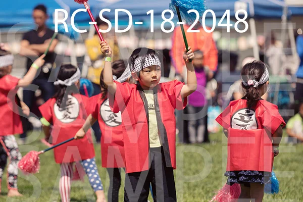 RC-SD-18-2048.jpg