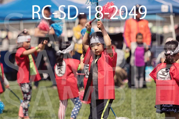 RC-SD-18-2049.jpg