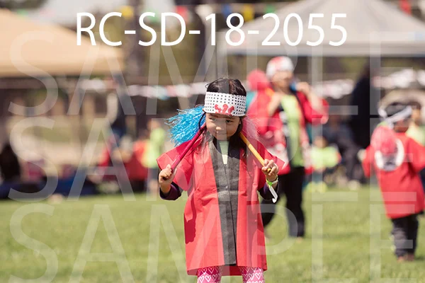 RC-SD-18-2055.jpg