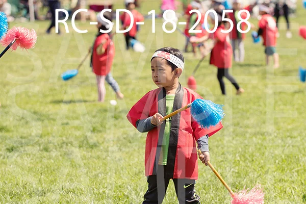 RC-SD-18-2058.jpg