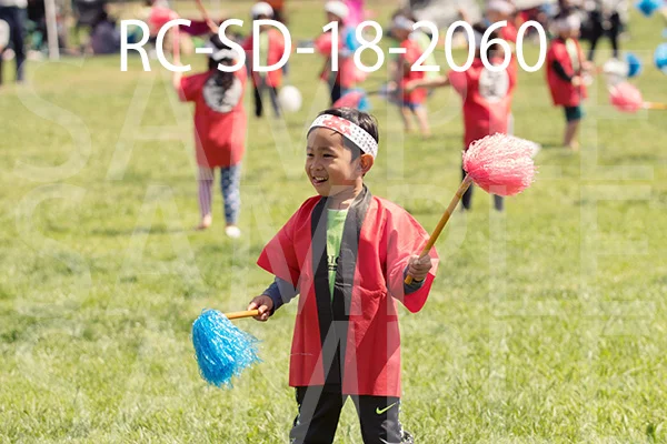 RC-SD-18-2060.jpg