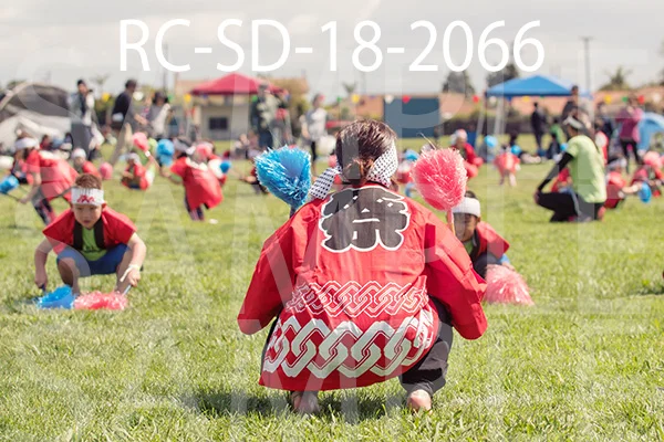 RC-SD-18-2066.jpg