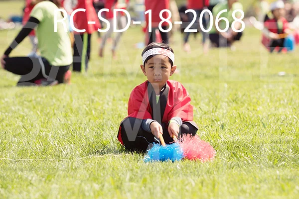 RC-SD-18-2068.jpg