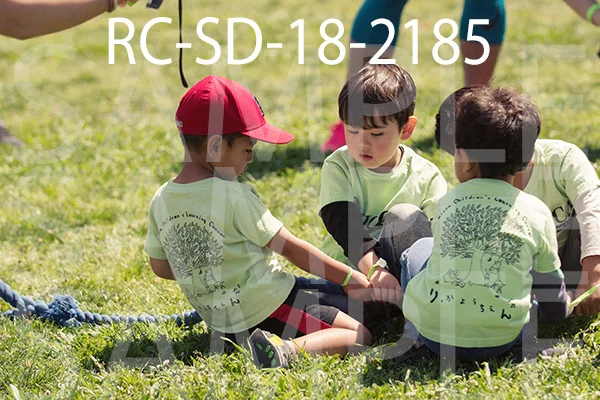 RC-SD-18-2185.jpg