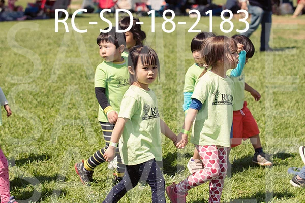 RC-SD-18-2183.jpg