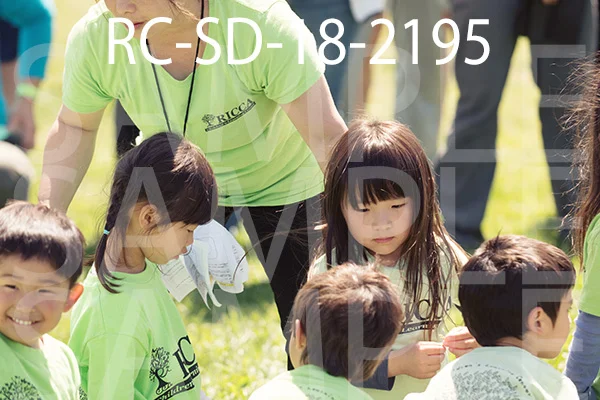RC-SD-18-2195.jpg