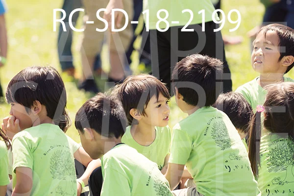RC-SD-18-2199.jpg