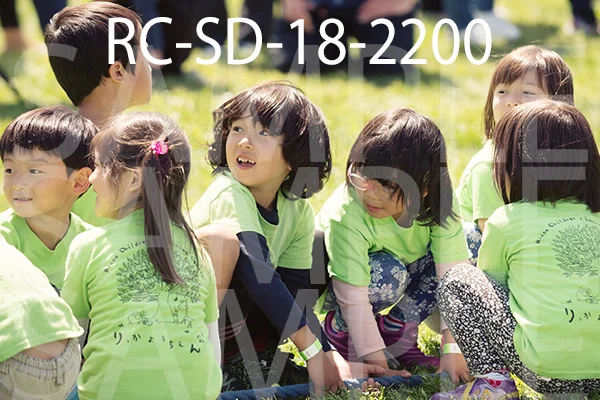 RC-SD-18-2200.jpg