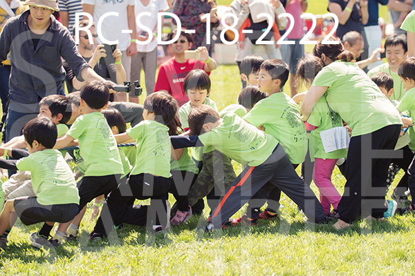 RC-SD-18-2222.jpg