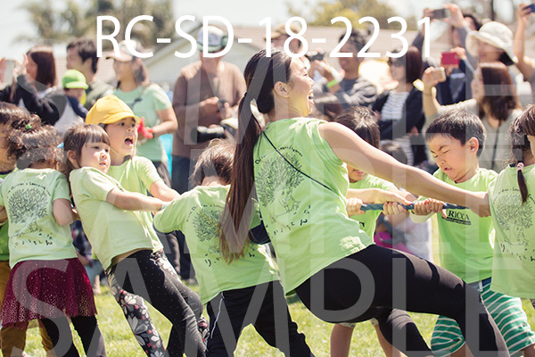 RC-SD-18-2231.jpg