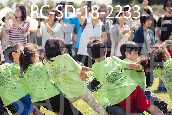RC-SD-18-2233.jpg