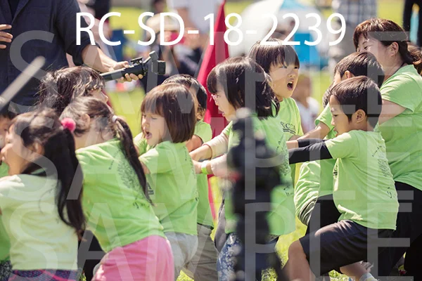 RC-SD-18-2239.jpg