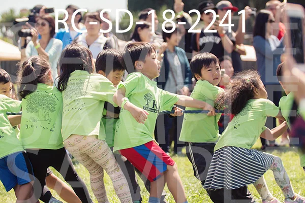 RC-SD-18-2241.jpg