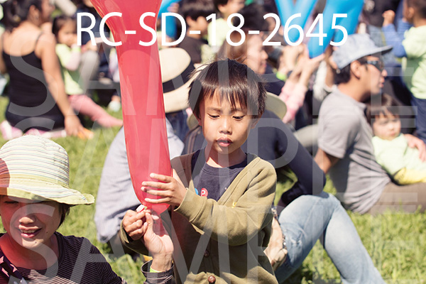 RC-SD-18-2645.jpg