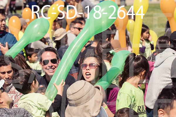 RC-SD-18-2644.jpg