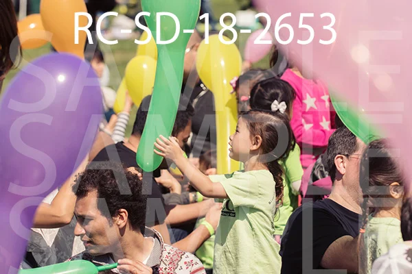RC-SD-18-2653.jpg
