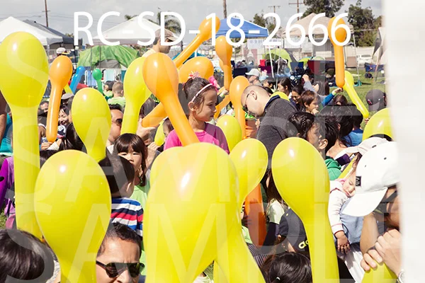 RC-SD-18-2666.jpg