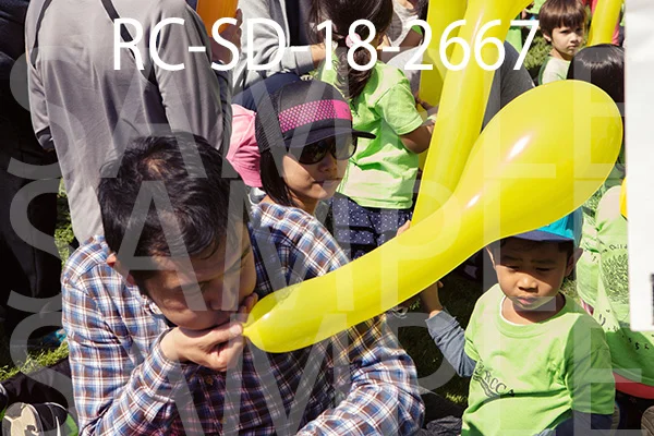 RC-SD-18-2667.jpg