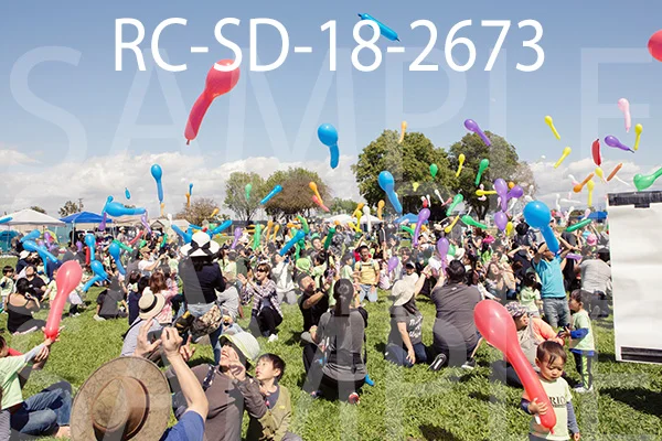 RC-SD-18-2673.jpg