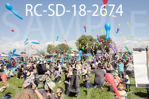 RC-SD-18-2674.jpg