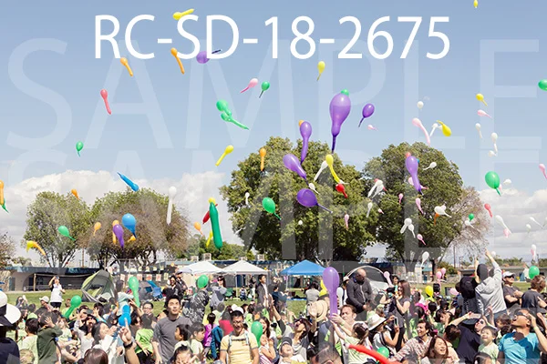 RC-SD-18-2675.jpg