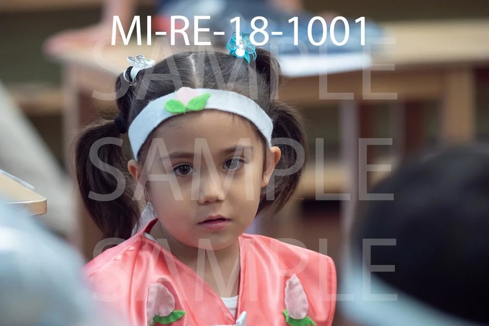 MI-RE-18-1001.jpg