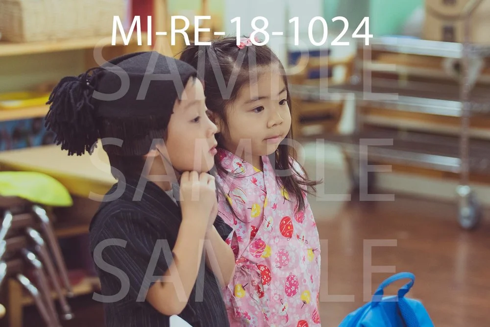 MI-RE-18-1024.jpg