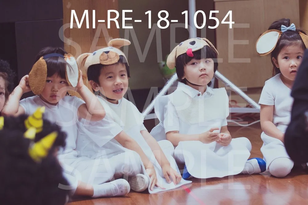 MI-RE-18-1054.jpg