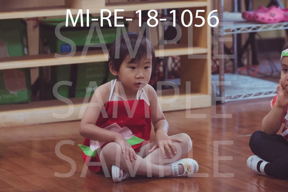 MI-RE-18-1056.jpg